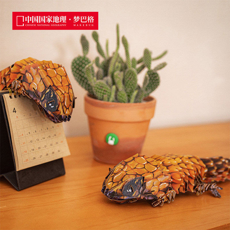 中国国家地理梦巴格 沙漠系列拼插纸模南非犰狳蜥100%牛皮纸浆,淘宝优惠券,粉丝福利购,淘宝优惠卷