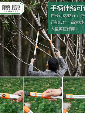 藤原修枝剪园艺剪树枝剪园林绿化工具修绿篱笆剪可伸缩省力大剪刀