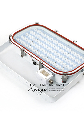 船用矿用LED不锈钢投光灯TG20-L强光大功率探照照明灯30W50W100W