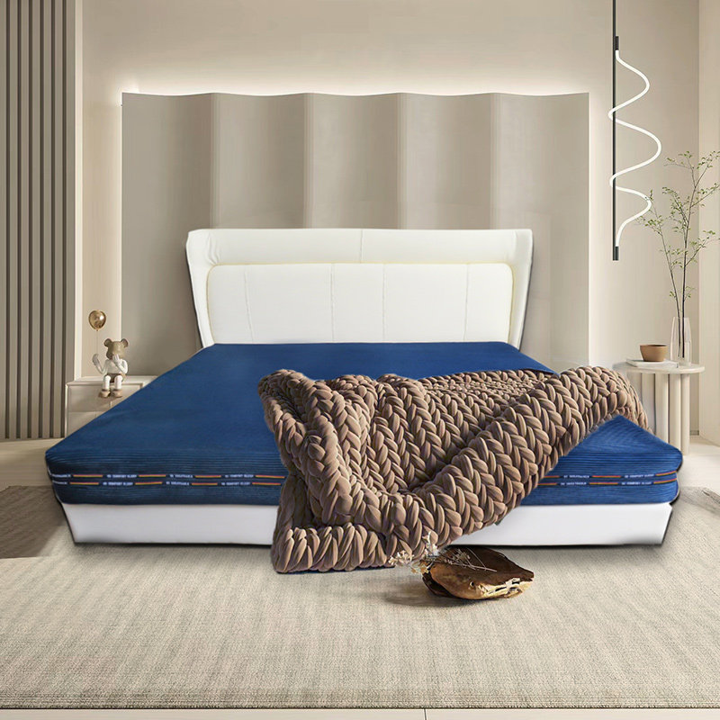 嘉福健康躺3D床垫无胶水纯防螨护脊可视水洗榻榻米飘窗垫简约,淘宝优惠券,粉丝福利购,淘宝优惠卷