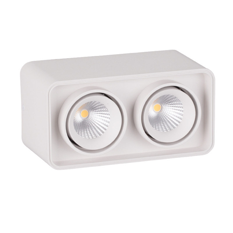 Surface-mounted double-head spotlight led ceiling lamp ceiling-type bold lamp living room downlight bedroom square no main light lighting