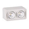 Surface-mounted double-head spotlight led ceiling lamp ceiling-type bold lamp living room downlight bedroom square no main light lighting