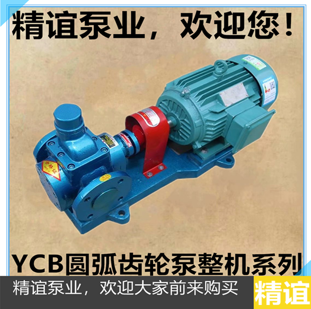 包邮圆弧齿轮油泵YCB1.6/0.6柴油泵 增压泵 自吸泵 齿轮油泵整机,淘宝优惠券,粉丝福利购,淘宝优惠卷