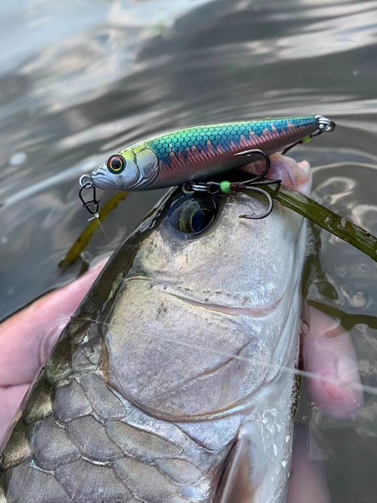 捉妖功坊川擒鱲颤沉水铅笔水下之字狗远投翘嘴鳡鱼鲈鱼狗鱼路亚饵,淘宝优惠券,粉丝福利购,淘宝优惠卷