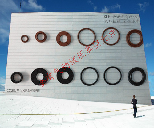 耐热薄型气缸CDQ2B32-30DZ/DM CDQ2B32X30DZ/DM CDQ2B32*30DZ/DM - 图3