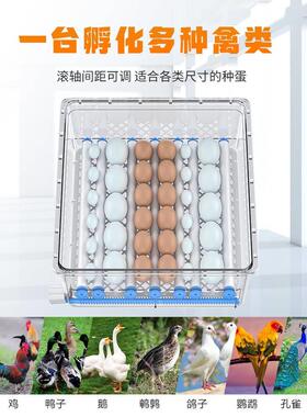 孵化器全自动孵蛋器孵化机小型孵化箱家用智能芦丁鸡蛋卵化机鸭鹅