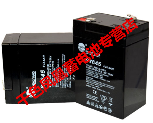 SHENGYANG晟阳电池 SY645 6V4.5AH SY640 6V4.0AH 电子称蓄电池 - 图0