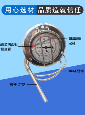 TANK坦克罐式冷冻集装箱-40-160℃度带防撞杆杠子压力式温度计TK