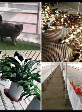 加厚塑料网超厚阳台防护网宠物漏粪养殖育雏围栏网垫防护窗护网栏