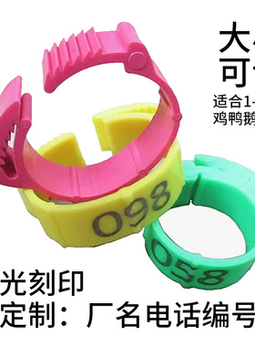 鸡脚环扣卡扣式鸡用脚环记号识别禽类鸡鸭鹅智能散养脚环脚圈标签
