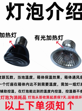 德国品质芦丁鸡恒温灯自
