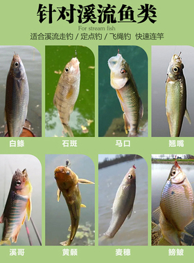 溪流野钓打窝料红虫蚯蚓颗粒大马口小白条石斑鱼专用饵料浓腥诱鱼