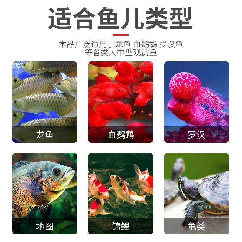 SUNSUN森森南极磷虾龙鱼饲料血鹦鹉鱼粮银龙罗汉发财鱼食虾干龟粮,淘宝优惠券,粉丝福利购,淘宝优惠卷