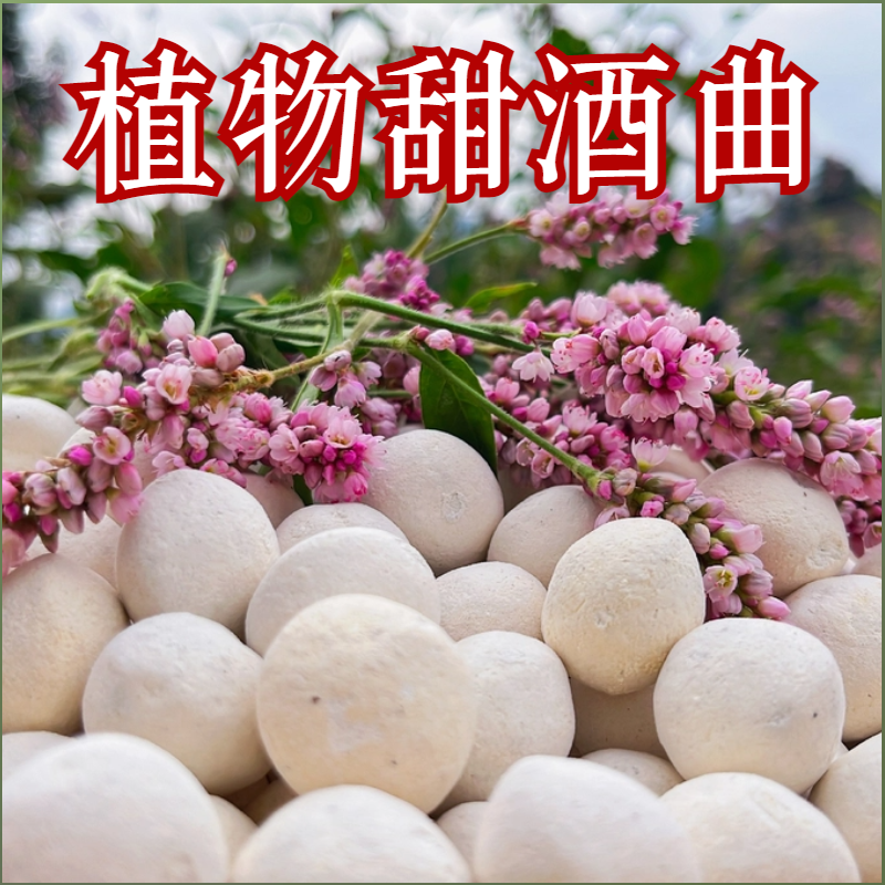 屈氏甜酒曲米酒曲甜酒酿家用做醪糟传统糯米酒饼老式曲子酵母酒药