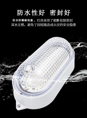 LED冷库专用灯10w20瓦防水防潮照明灯卫生间灯具浴室耐低温三防灯