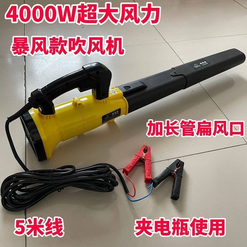 夹电瓶款12V24V大功率吹风机大风力工业强力车载家用鼓风机除尘器,淘宝优惠券,粉丝福利购,淘宝优惠卷