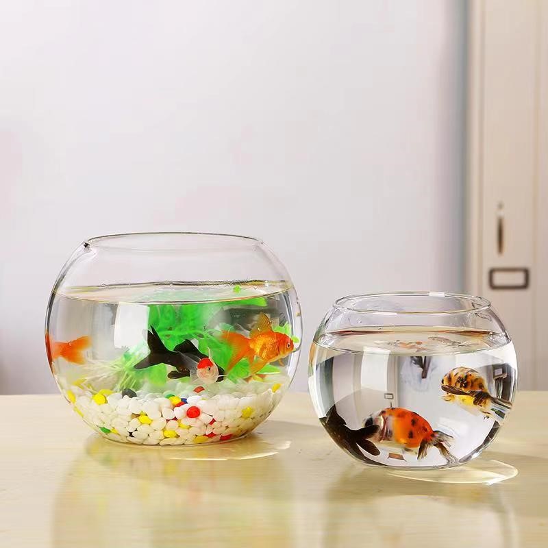 小鱼缸客厅小型乌龟金鱼缸桌面透明龟缸家用水培器皿植物花盆容器 - 图0