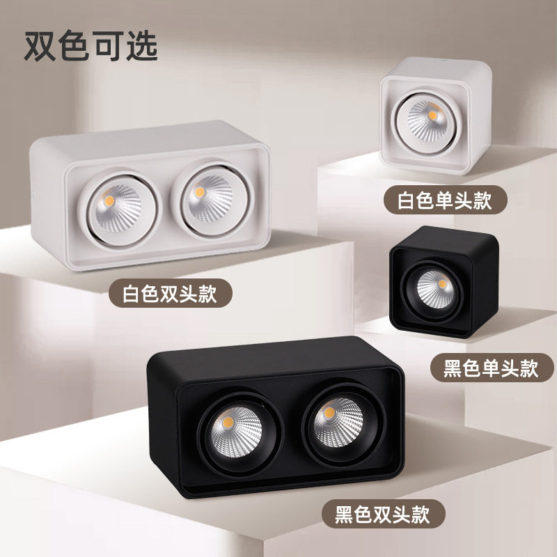 Surface-mounted double-head spotlight led ceiling lamp ceiling-type bold lamp living room downlight bedroom square no main light lighting