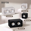 Surface-mounted double-head spotlight led ceiling lamp ceiling-type bold lamp living room downlight bedroom square no main light lighting