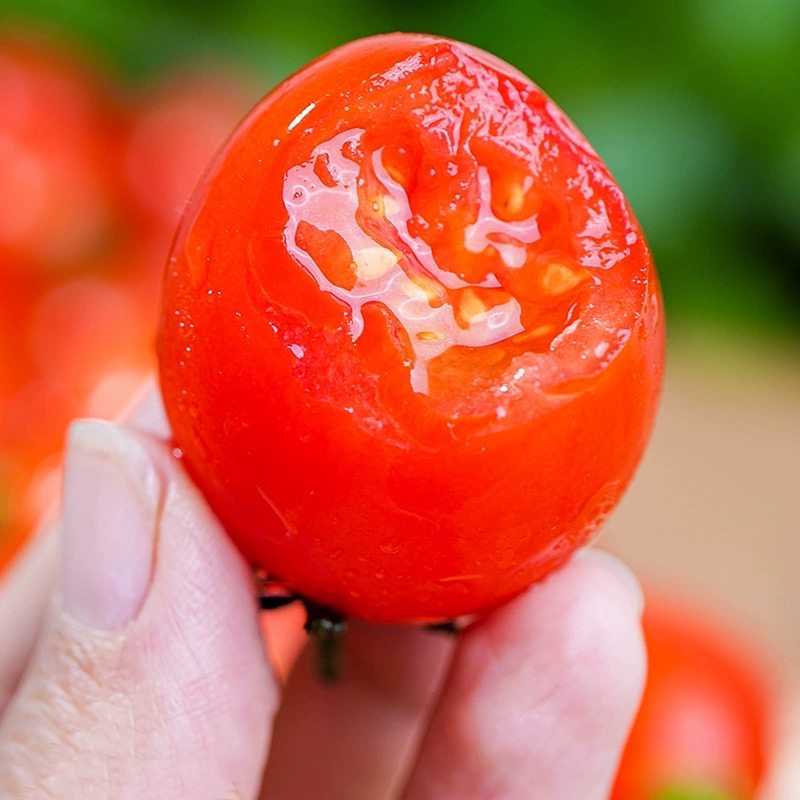 现摘圣女果新鲜小番茄5斤孕妇水果樱桃西红柿子生吃当季蔬菜千禧,淘宝优惠券,粉丝福利购,淘宝优惠卷