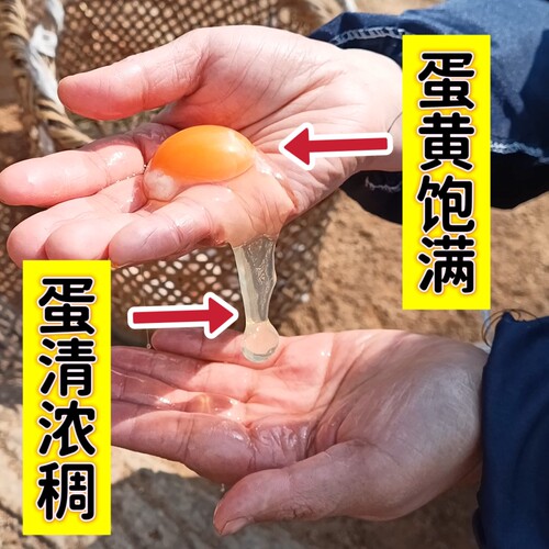 九云仙正宗九华山农家散养新鲜土鸡蛋孕妇宝宝健康草鸡蛋笨鸡蛋-图1