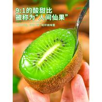 Shaanxi Cuixiang Green Hearts Kiwi Official Flagship Store Fresh 10 catties of the season fruit market Messio yellow