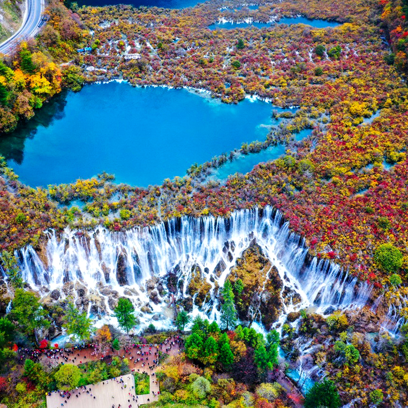 成都跟团旅游都江堰熊猫乐园九寨沟纯玩三日游九寨黄龙川西跟团游 - 图3