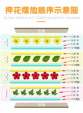 手工DIY干花漠凡克压花板押花器
