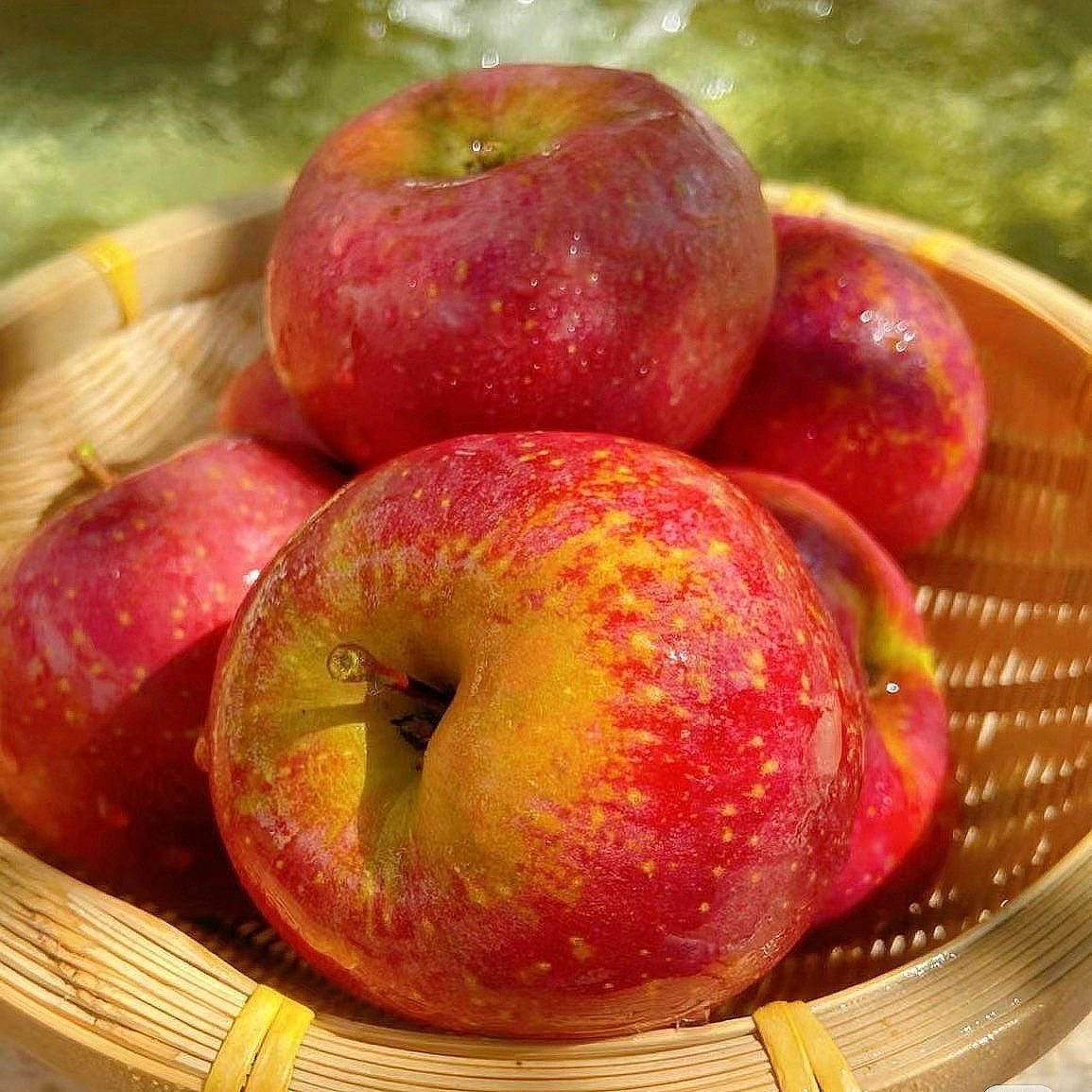 2025大凉山丑苹果新鲜昭通市冰糖心丑苹果红富士水果当季整箱,淘宝优惠券,粉丝福利购,淘宝优惠卷