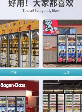 冷冻展示柜商用冰柜立式食品冻品低温速度柜冰淇淋超市冰柜