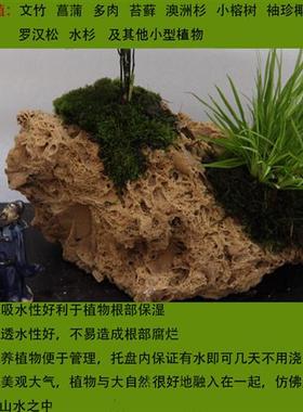 吸水石上水石原石盆微景观天然加湿器菖蒲文竹多肉植物专用石槽