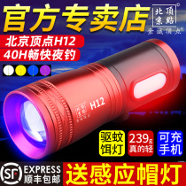 Beijing vertex H12 fishing light High power night fishing light intense light super bright gold defection top laser laser gun