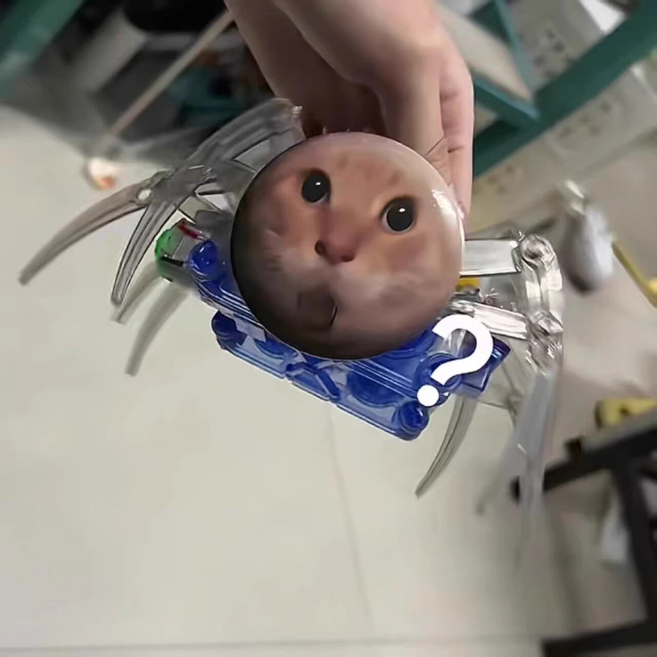 耄耋猫蜘蛛猫手工拼装材料diy猫咪表情包猫meme玩具机械爬行模型,淘宝优惠券,粉丝福利购,淘宝优惠卷