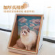 Cat Scratching Board Cat Nest Cat Scratching Board Cat Nest Cat Nest