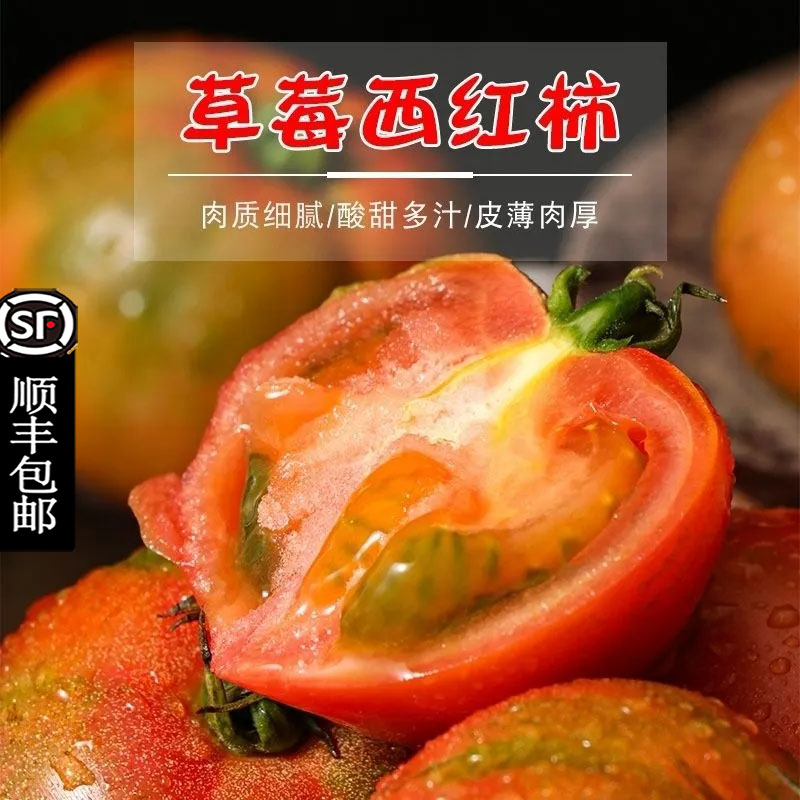 丹东草莓柿子5斤番茄铁皮柿子绿腚油柿子新鲜西红柿自然熟正宗