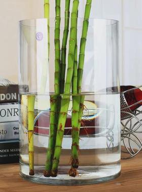 直筒玻璃花瓶家用高款特大号透明富贵竹龙竹宽口大口广口醒花桶热