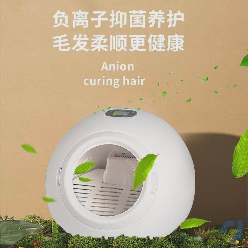猫咪烘干箱宠物家用全自动烘干机吹风机小猫咪专用洗澡吹毛用品,淘宝优惠券,粉丝福利购,淘宝优惠卷