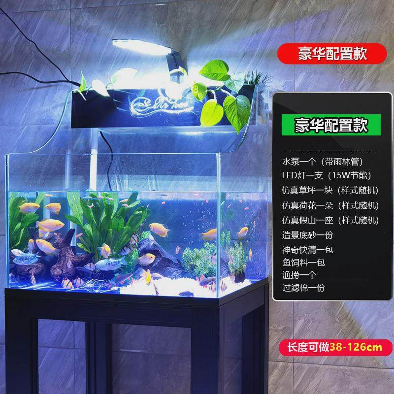 鱼缸水族箱客厅小型迷你桌面免换水懒人生态造景家用小金鱼乌龟缸,淘宝优惠券,粉丝福利购,淘宝优惠卷