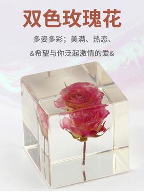 新款双色玫瑰花植物树脂水晶球创意节日礼品工艺品树脂小摆件
