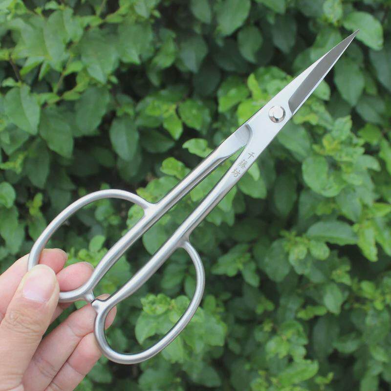 千藤坊不锈钢215mm叶芽剪插花剪刀切枝园艺剪刀量从优大一件也批,淘宝优惠券,粉丝福利购,淘宝优惠卷