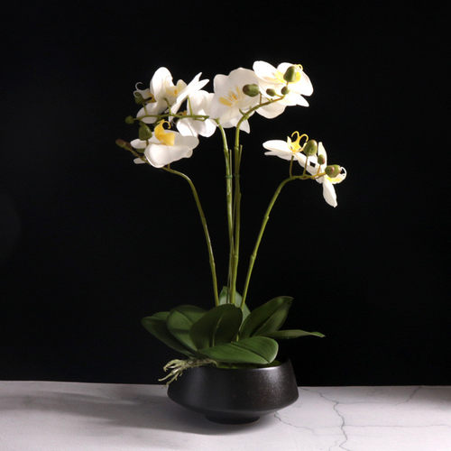 手感蝴蝶兰花仿真客厅茶几盆栽假花卉插花餐桌面玄关装饰摆件摆设 - 图0