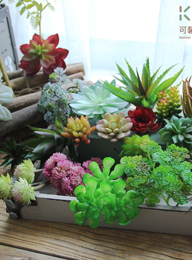 北欧仿真多肉植物小摆件假花绿植墙装饰组合创意搭配