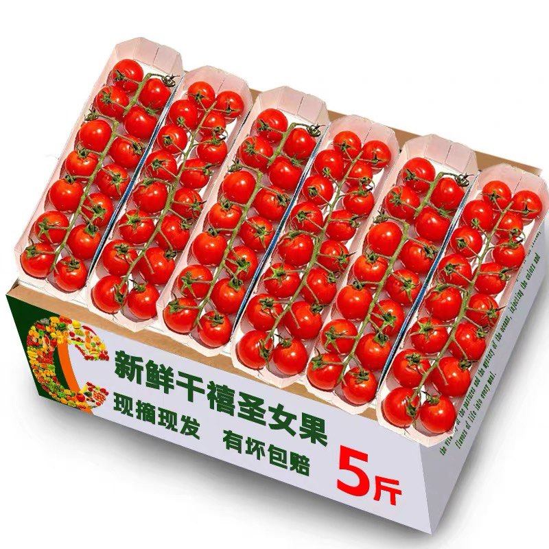 圣女果新鲜小番茄5斤水果当季蔬菜生吃自然熟3孕妇西红柿千禧山东,淘宝优惠券,粉丝福利购,淘宝优惠卷