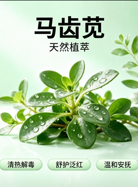 天然马齿苋修复霜护肤霜面霜护肤品敏感肌肤修复面霜