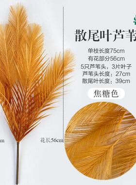 新款五头塑料散尾叶芦苇假花 店铺橱窗落地打底插花绿植狗尾草