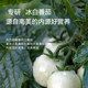 Oxyenergy ອົກຊີເຈນທີ່ພະລັງງານແສງເດືອນສີຂາວບວກກັບນ້ໍາກ້ອນປາກຫມາກເລັ່ນແຄບຊູນໂດຍເນື້ອແທ້ແລ້ວທີ່ບໍ່ແມ່ນເມັດ
