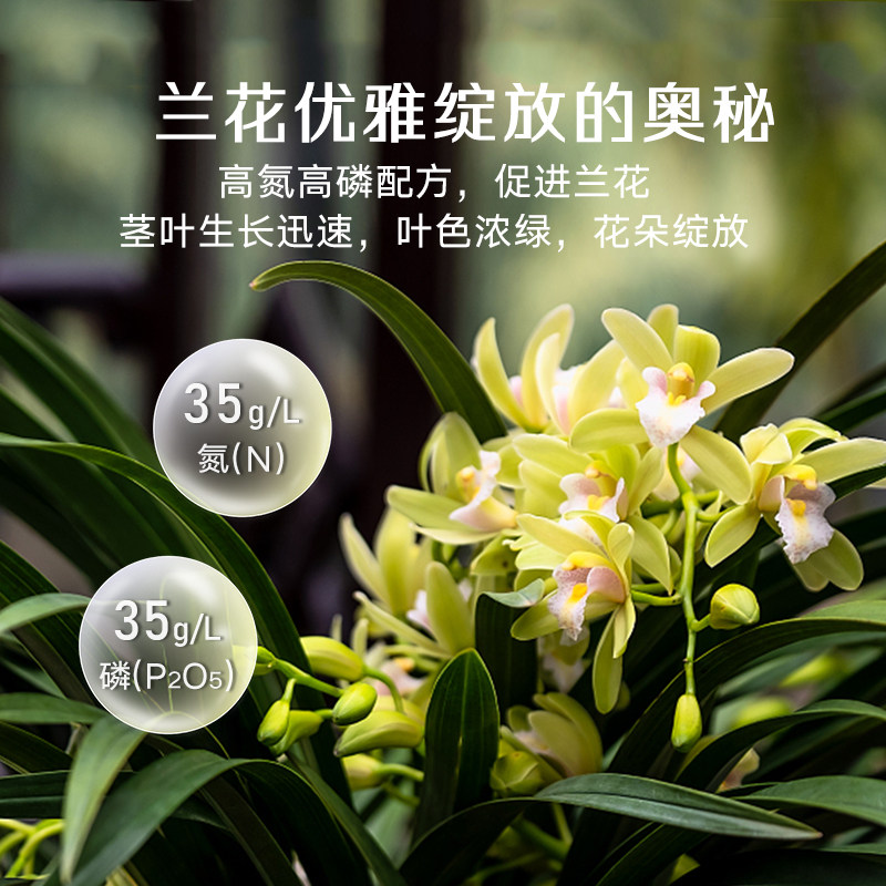 高力高兰花专用型植物营养液兰科促花肥蝴蝶兰君子兰白玉兰花肥料,淘宝优惠券,粉丝福利购,淘宝优惠卷