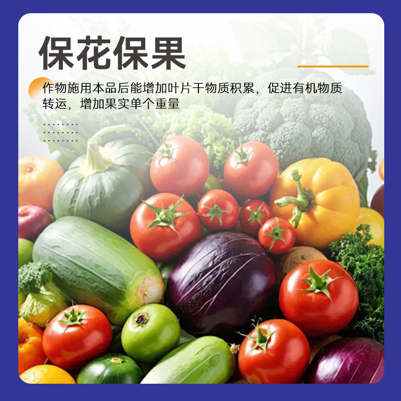 蛋白水溶氨基酸瓜果蔬菜花卉通用叶面肥家用生根农用营养液复合肥,淘宝优惠券,粉丝福利购,淘宝优惠卷