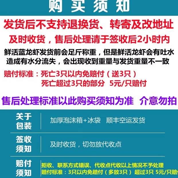 澳洲小龙虾鲜活蓝龙淡水养殖1两以上超大特大活龙虾3斤装顺丰包邮 - 图3