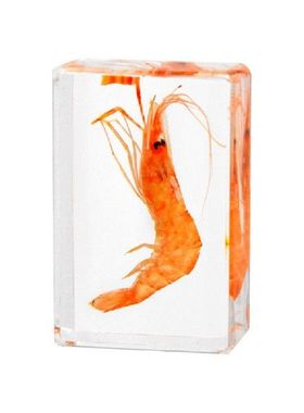 蝎子摆件小龙虾招潮蟹